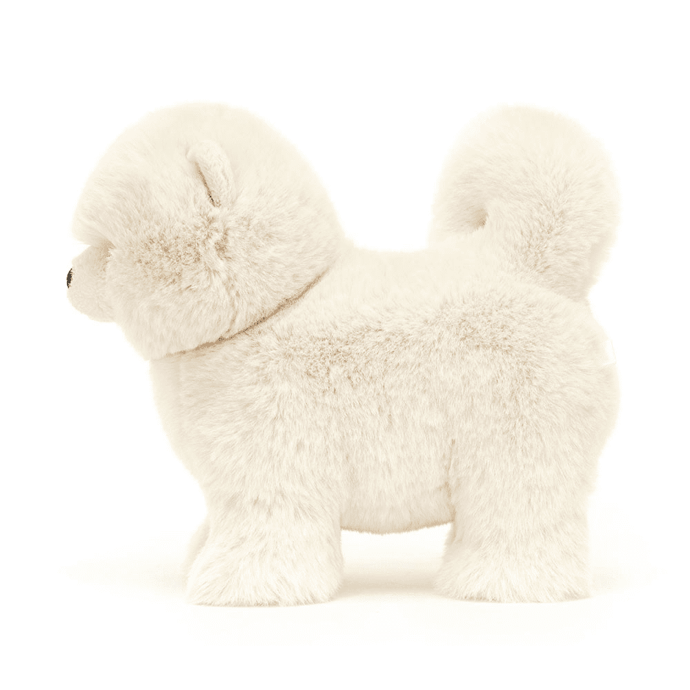 peluche chien sur fond blanc 