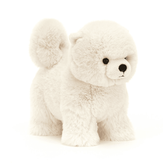 peluche chien sur fond blanc 