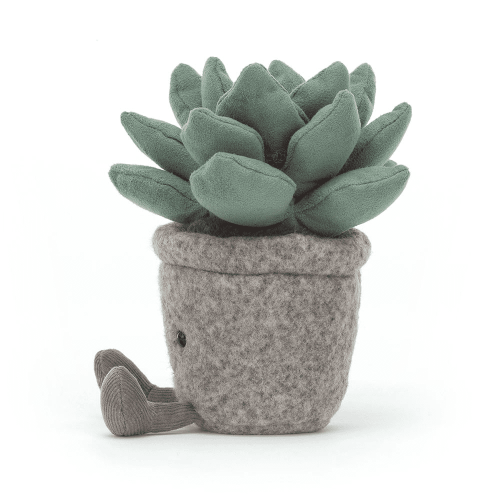 Peluche Cactus sur fond blanc 