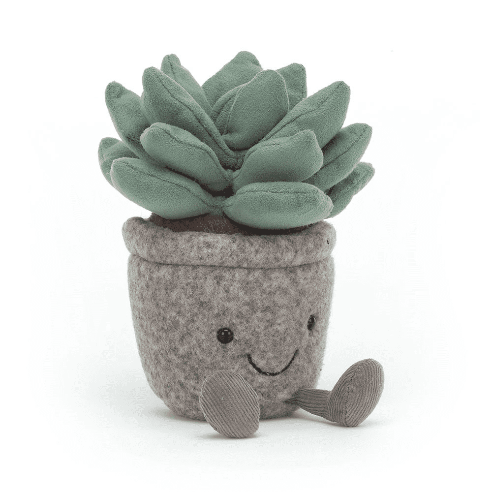 Peluche Cactus sur fond blanc 