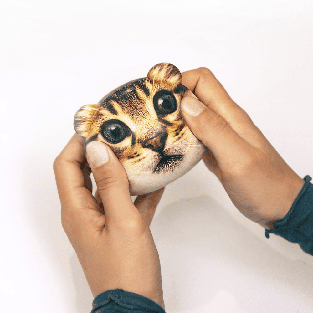 mise en situation balle anti stress chat dans les mains sur fond blanc