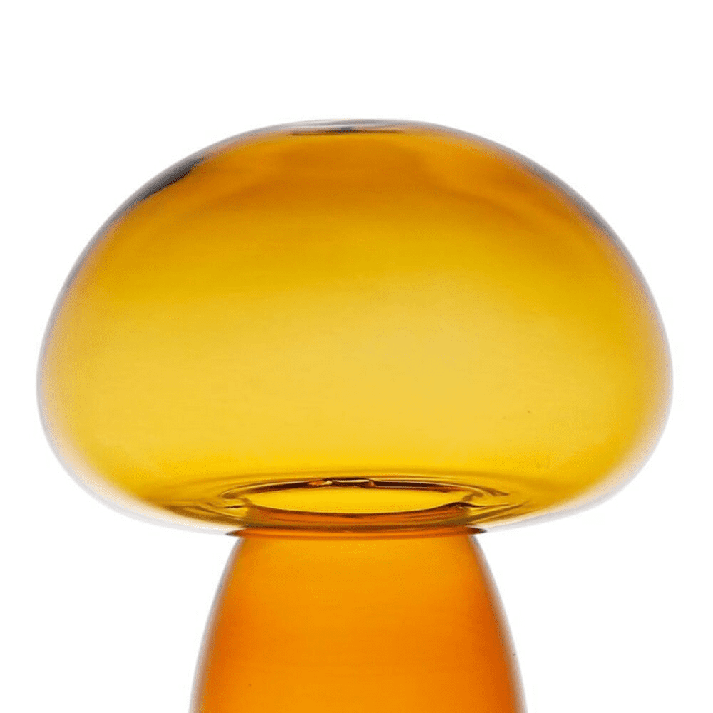 Deco champignon dilacia ambre en verre sur fond blanc