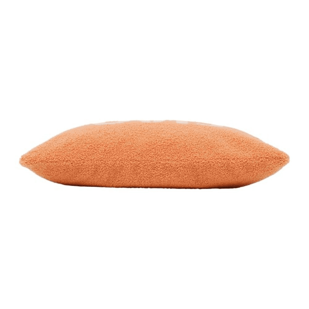 Coussin funky terre polyster sur fond blanc