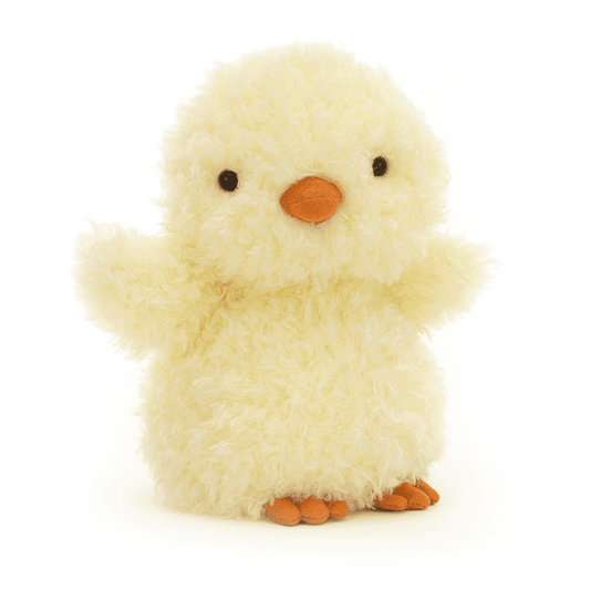 little chick de face sur fond blanc 